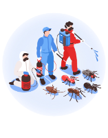  Pest Control Ryde in Ryde NSW