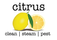 Citrus Clean Steam Pest