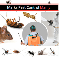  Pest Control Manly in Manly QLD