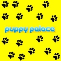  Puppy Palace Pet Shop in Brisbane QLD