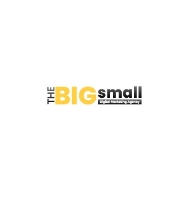 The Big Small Digital Marketing Agency