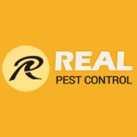  Real Cockroach Control Adelaide in Adelaide SA