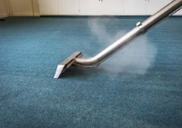 Professional Carpet Cleaning Sunshine Coast