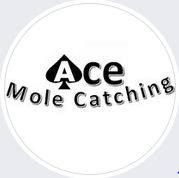  Ace Mole Catching in Great Yarmouth England