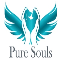 Pure Souls Pet Aquacremation