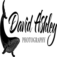 David Ashley Photos