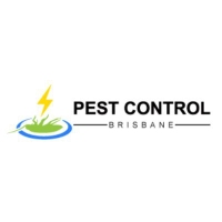 Pest Control Brisbane