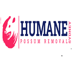 Possum Removal Melbourne