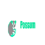 Possum Removal Adelaide