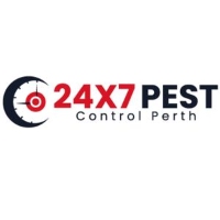 Spider Pest Control Perth