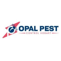  Opal Pest Control Hobart in Hobart TAS