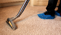  Squeaky Clean Rug and Carpet Cleaning Brighton in Brighton VIC