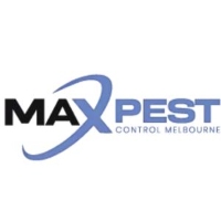 Termite Control Melbourne