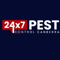 Spider Pest Control Canberra