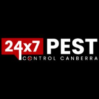  Canberra Termite Treatment in Canberra ACT