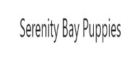 Serenity Bay Puppies