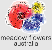 Meadow Flowers Australia