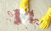  Fresh Cleaning Services - Carpet Cleaning Canberra in Canberra ACT
