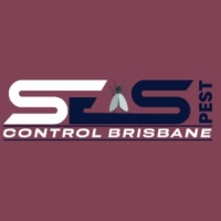 Cockroach Pest Control Brisbane