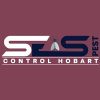 Possum Control Hobart