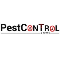 Cockroach Pest Control Perth