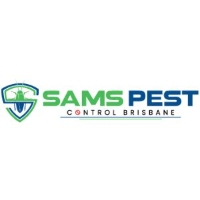 Spider Pest Control Brisbane