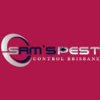  Termite Pest Control Brisbane in Brisbane City QLD