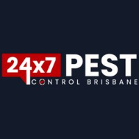 Spider Extermination Brisbane