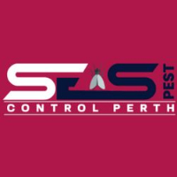 Perth Termite Treatment