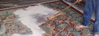  Squeaky Green Clean Rug Cleaning And Rug Laundry Brighton in Brighton VIC