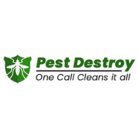  Pest Destroy Pest Control Adelaide in Adelaide SA