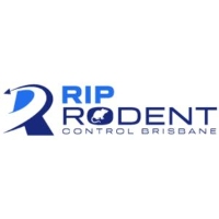  Brisbane Rodent Control in Brisbane City QLD