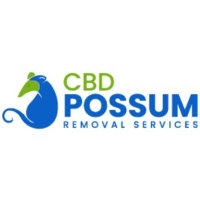 Best Possum Removal Canberra