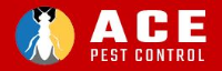 Ace Bed Bug Control Brisbane