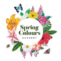 Spring Colours Nursery