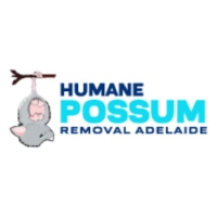  Dead Possum Removal Adelaide in Adelaide SA