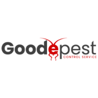 Goode Rodent Control Brisbane