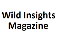 Wild Insights Magazine