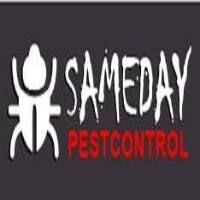  Same Day Pest Control in Spring Hill QLD