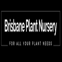  Brisbane Plant Nursery in Rochedale South QLD