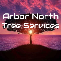 Arbor North Tree Services