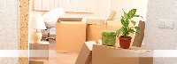 Removalists Geelong