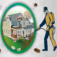  Bee Pest Control Canberra in Canberra ACT