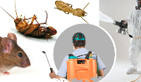 Same Day Pest Inspection Services Perth