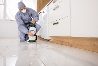  Commercial Pest Control Adelaide in Adelaide SA