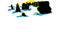  Melbourne Elite Tours Pty Ltd in Coburg VIC