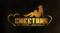 Cheetahs Club