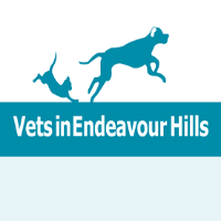 Vets In Endeavour Hills