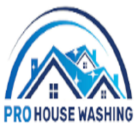 PRO House Washing