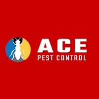 Domestic Pest Control Adelaide